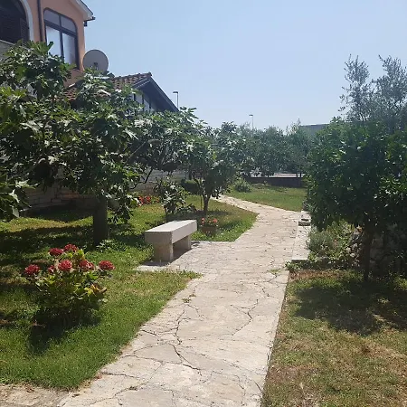 Siesta *